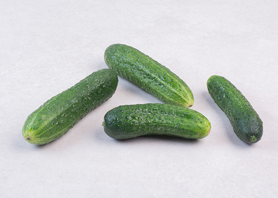 pepinos